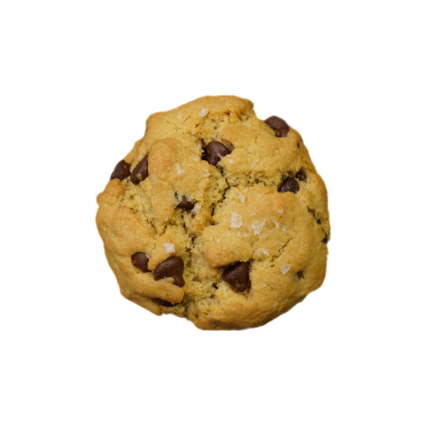 Vegan and Gluten Free Sea-Salt Chocolate Chip Chubby
