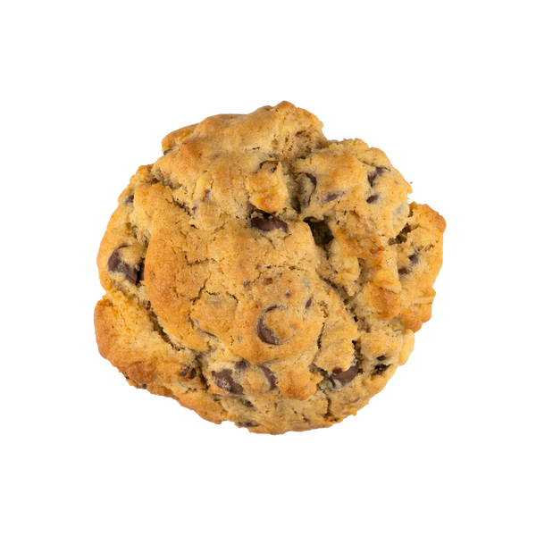 Chocolate Chip with Walnut